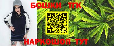 молекула духа Волжский