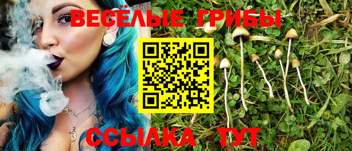 Галлюциногенные грибы мицелий Наро-Фоминск