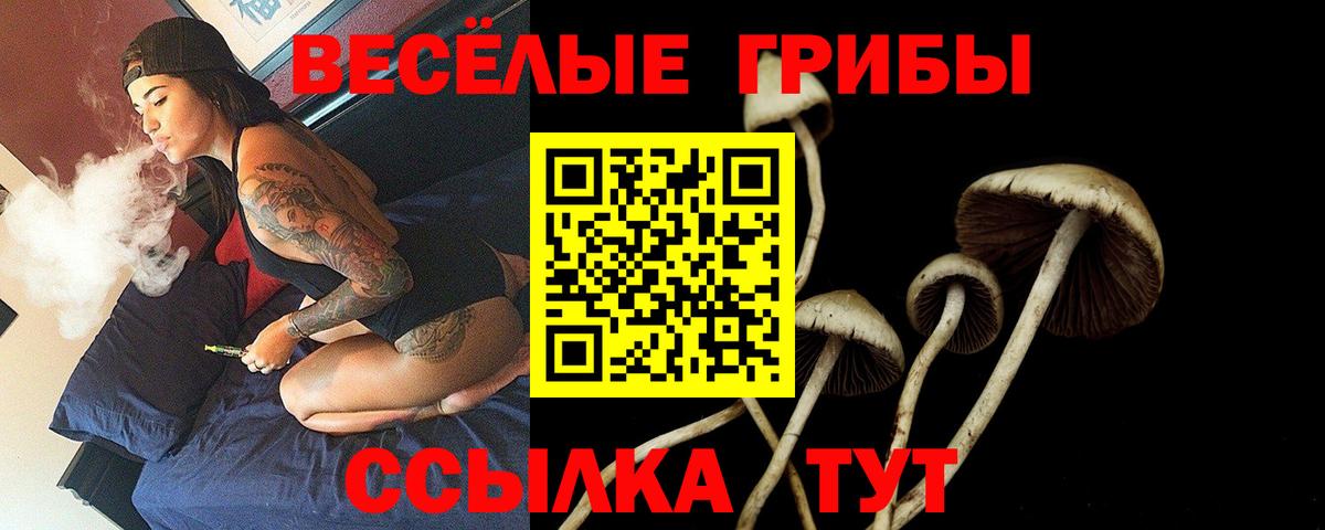 Наро-Фоминск  Галлюциногенные грибы Psilocybine cubensis  Вход с VPN 